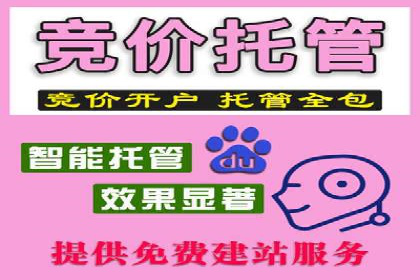某品牌通过竞价SEM成功扩大市场份额